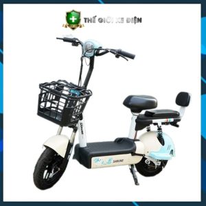 Xe đạp điện mẫu A3